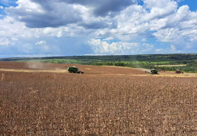 Produtividade da soja sobe e pode levar safra a 17,7 milhões de toneladas