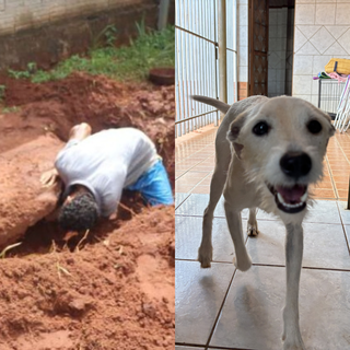 Não pode adotar? Apadrinhe um "anjo" que sobreviveu a violência em Campo Grande