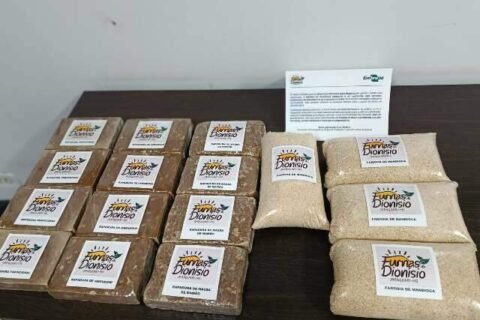 Rapadura e farinha de quilombolas de MS participam de feira da Embrapa no DF