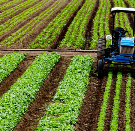 Agro já soma R$ 404 bilhões em crédito rural para a safra de 2025/2026