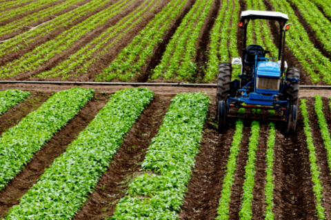 Agro já soma R$ 404 bilhões em crédito rural para a safra de 2025/2026