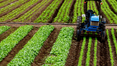 Agro já soma R$ 404 bilhões em crédito rural para a safra de 2025/2026