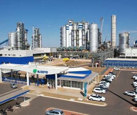 Lucro da Suzano cai 32% no trimestre, mesmo com alta nos preços da celulose