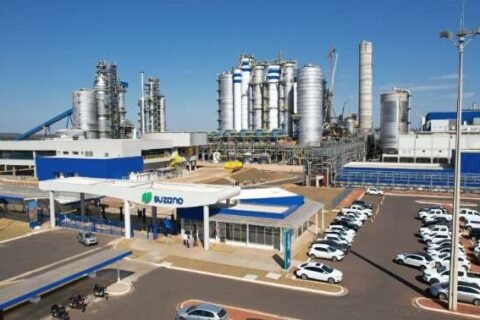 Lucro da Suzano cai 32% no trimestre, mesmo com alta nos preços da celulose