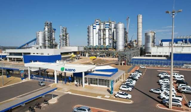 Lucro da Suzano cai 32% no trimestre, mesmo com alta nos preços da celulose