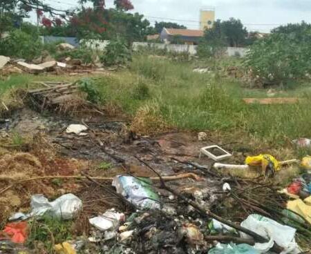 Câmara municipal abre debate com moradores para rever lei de terrenos baldios