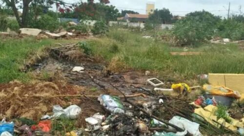 Câmara municipal abre debate com moradores para rever lei de terrenos baldios