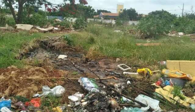 Câmara municipal abre debate com moradores para rever lei de terrenos baldios