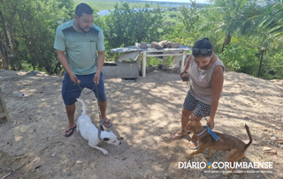 Onça invade varanda e mata cadela dentro de fazenda