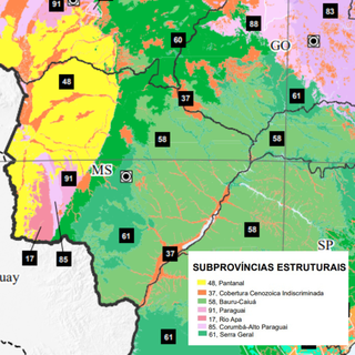 MS vai além de Cerrado e Pantanal: mapa revela mosaico de vegetações