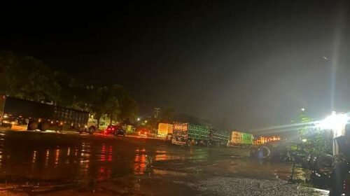 Colisão entre carreta e caminhonete mata dois na BR-163