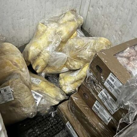 Operação apreende produtos irregulares em depósito e conveniências do Alemão