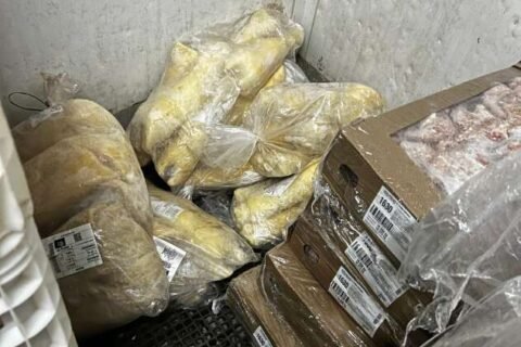 Operação apreende produtos irregulares em depósito e conveniências do Alemão