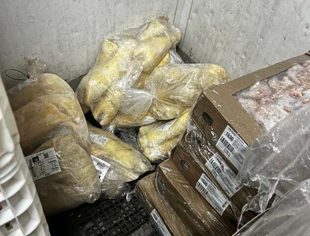 Operação apreende produtos irregulares em depósito e conveniências do Alemão