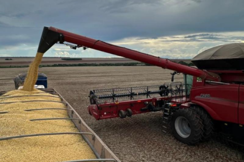 Com R$ 1,1 bilhão em crédito, agro reduz 57,5% da compra de insumos