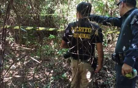 Corpo é encontrado em área de mata e suspeita é de ataque de javali