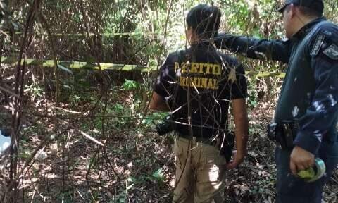 Corpo é encontrado em área de mata e suspeita é de ataque de javali
