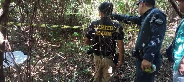 Corpo é encontrado em área de mata e suspeita é de ataque de javali