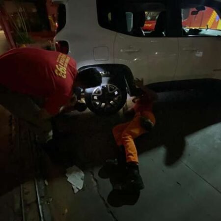 Miado desesperado exige resgate de bombeiros de gatinho na roda de veículo