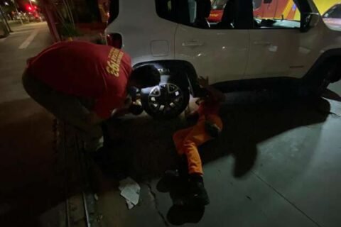 Miado desesperado exige resgate de bombeiros de gatinho na roda de veículo