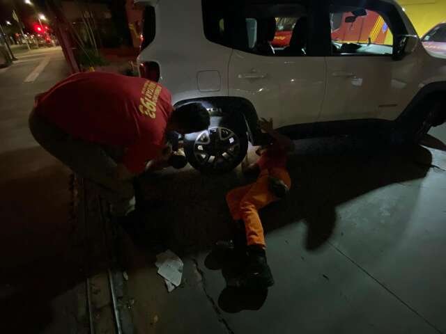Miado desesperado exige resgate de bombeiros de gatinho na roda de veículo