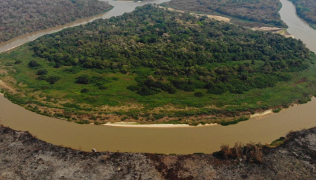 É preciso agir rápido diante das mudanças climáticas, diz fundador da Onçafari