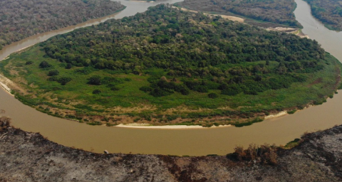 É preciso agir rápido diante das mudanças climáticas, diz fundador da Onçafari