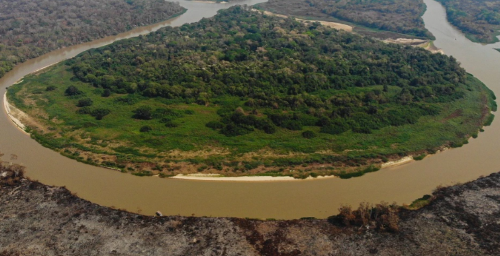 É preciso agir rápido diante das mudanças climáticas, diz fundador da Onçafari