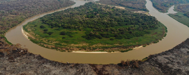 É preciso agir rápido diante das mudanças climáticas, diz fundador da Onçafari