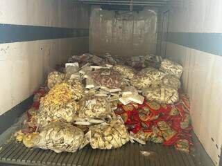 Alemão acaba preso após apreensão de 10,4 toneladas de alimentos irregulares Alemão acaba preso após apreensão de 10,4 toneladas de alimentos irregulares