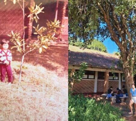 Reencontro com árvore plantada pelo pai emociona filha após 20 anos