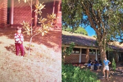 Reencontro com árvore plantada pelo pai emociona filha após 20 anos