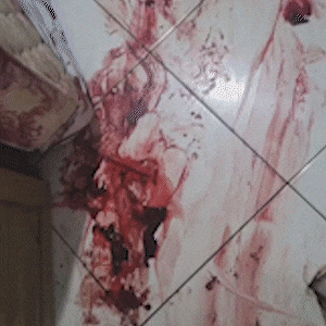 Homem se passa por policial, mata ajudante de pintor e deixa jovem ferida