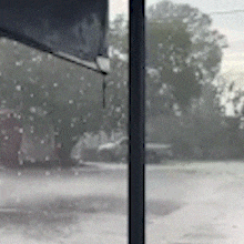 Árvore cai sobre fiação e deixa moradores sem energia no Los Angeles