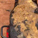 Moto de homem desaparecido é encontrada queimada em rio