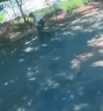 Preso suspeito de assassinato e agressões brutais a pedradas no Centro