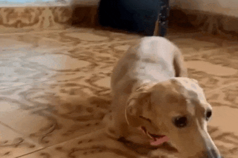 Não pode adotar? Apadrinhe um "anjo" que sobreviveu a violência em Campo Grande