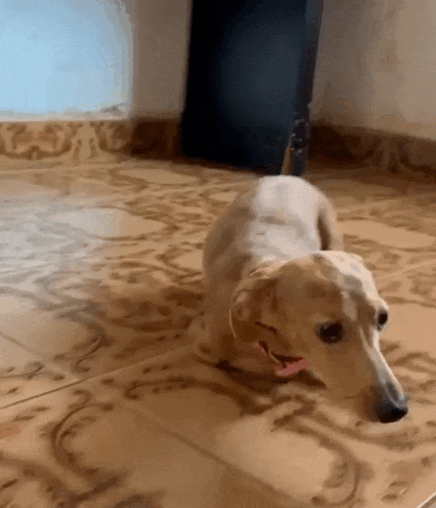 Não pode adotar? Apadrinhe um "anjo" que sobreviveu a violência em Campo Grande