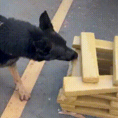 Mercadoria sem nota levou a flagrante de droga em transportadora do Centro