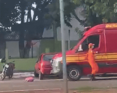 Enxame de abelhas ataca no Coophavila e fere duas pessoas