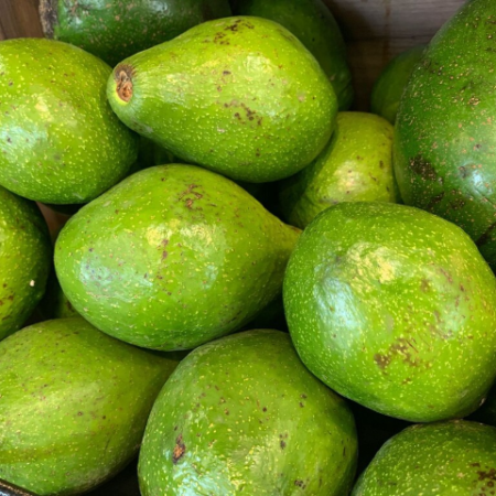Brasil amplia exportações agropecuárias com novos mercados