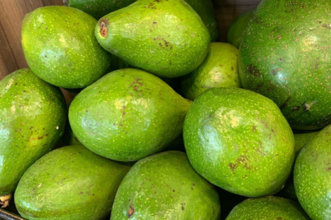 Brasil amplia exportações agropecuárias com novos mercados