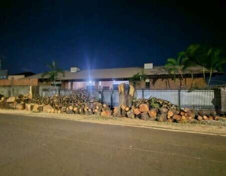 Morador na Vila Bandeirantes se surpreende com poda drástica de 6 árvores