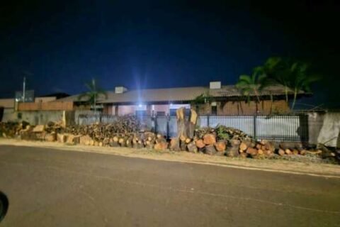 Morador na Vila Bandeirantes se surpreende com poda drástica de 6 árvores