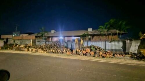 Morador na Vila Bandeirantes se surpreende com poda drástica de 6 árvores