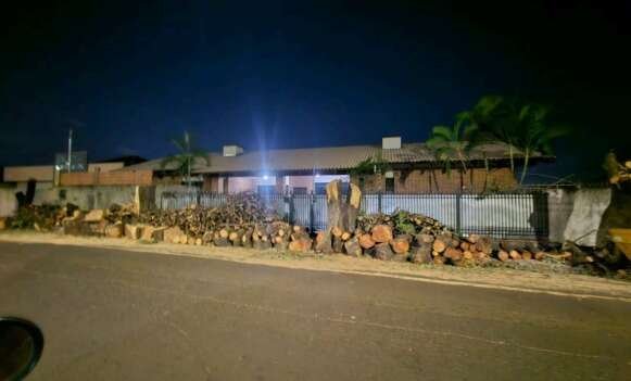 Morador na Vila Bandeirantes se surpreende com poda drástica de 6 árvores