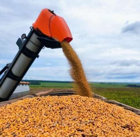 MS amplia vendas externas de grãos em cenário de mercado pressionado