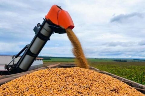 MS amplia vendas externas de grãos em cenário de mercado pressionado