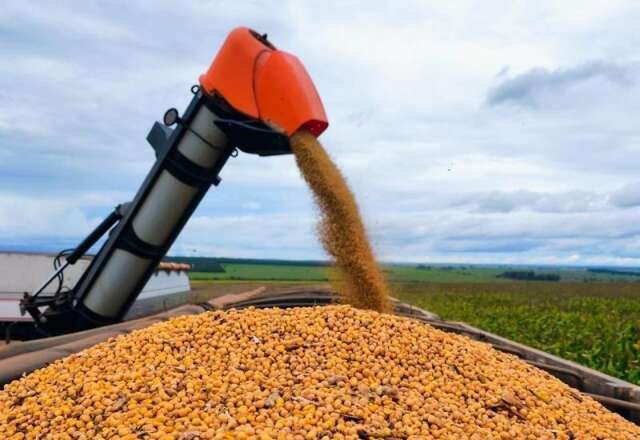 MS amplia vendas externas de grãos em cenário de mercado pressionado