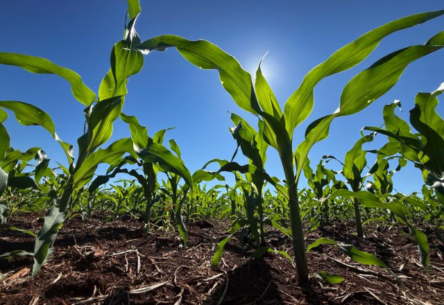 Fertilizantes sobem até 39% e MS importa 23 mil toneladas no trimestre